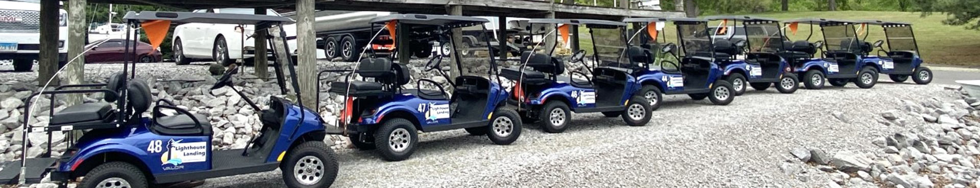 Image of 7 blue golf carts lined up.