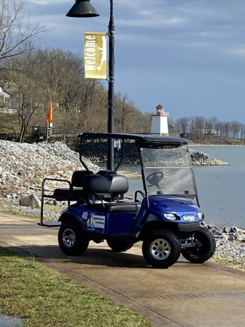 Image of blue golf cart.