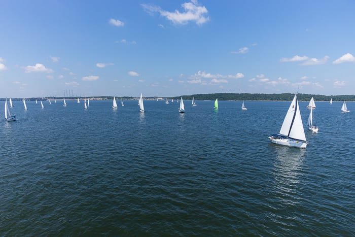 Image of sailboats in the water.